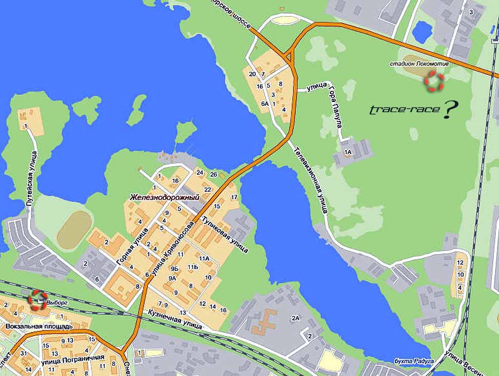 WiborgXC.jpg